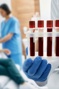 agregar algo de texto (10)